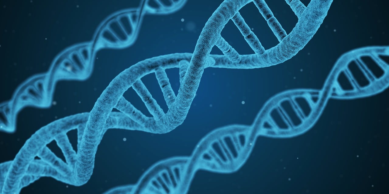 【告别健康码/取消健康码】 【告别健康码/取消健康码】