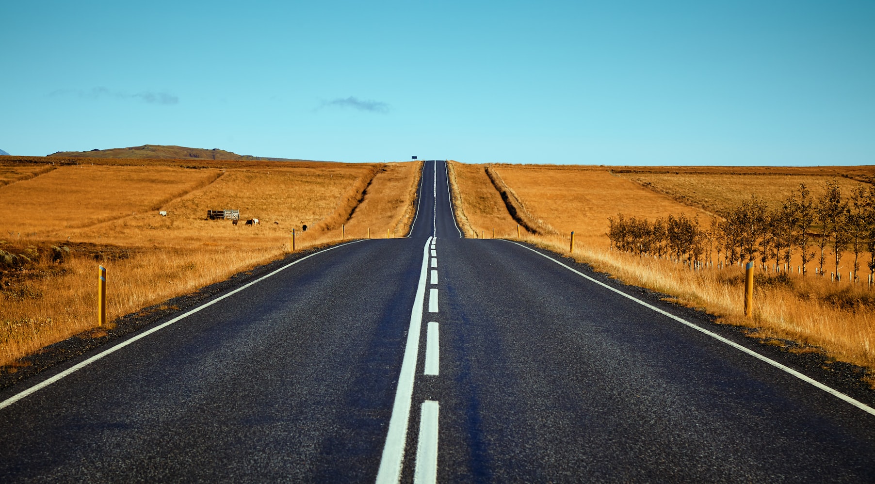 清明免高速费吗.清明节免高速公路费吗